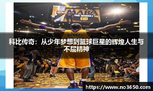 XCsports网页登录