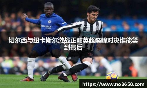 XCsports网页登录